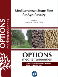 Mediterranean Stone Pine for Agroforestry