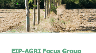 EIP-AGRI Focus Group Agroforestry: introducing woody vegetation into specialised crop and livestock systems FINAL REPORT DECEMBER 2017